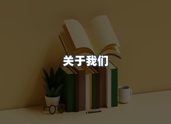 专业团队
